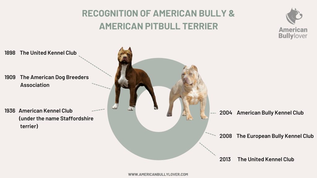 Comparison of the recognition of the American Bully dog breed and American Pitbull Terrier dog breed by various dog kennel clubs