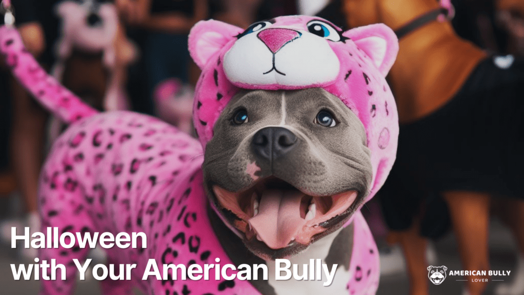 American Bully dog in a pink panther Halloween costume